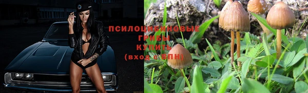 а пвп мука Осташков