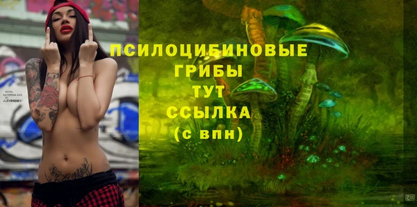 spice Пестово