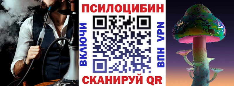 как найти наркотики  Ейск  Галлюциногенные грибы Cubensis 