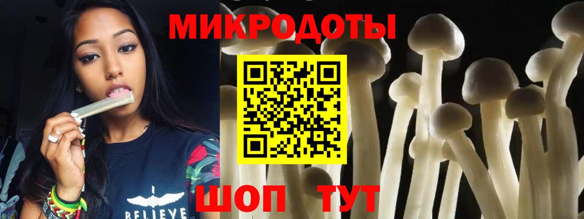 Галлюциногенные грибы GOLDEN TEACHER  Вход с VPN  Ейск 