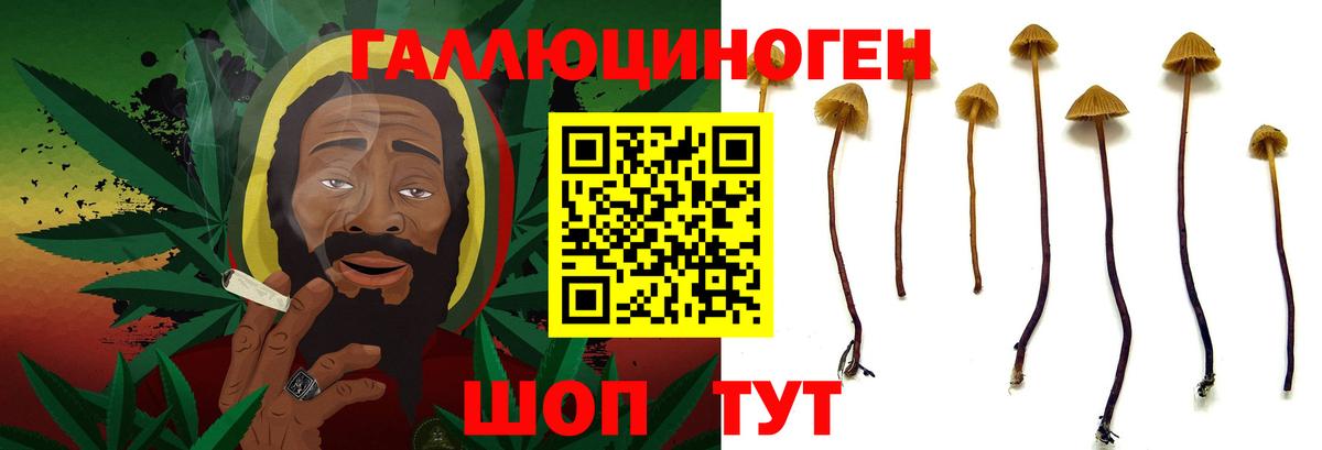 Псилоцибиновые грибы MAGIC MUSHROOMS Ейск